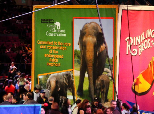 Elephant conservation poster by Ringling at the circus.